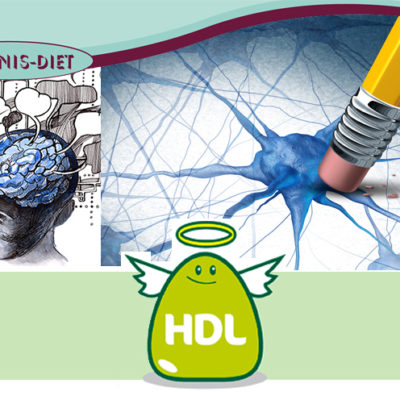 HDL, un alleato per la memoria